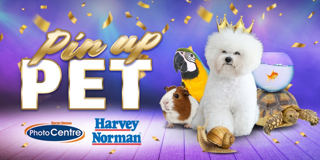 Pin Up Pet 2026